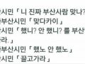 (방언) 했노안했노 일베체