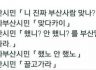 (방언) 했노안했노 일베체