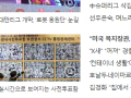 (피동) 투표함이 보여지다