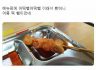 (통사론) 축약어
